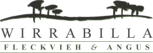 Wirrabilla Fleckvieh & Angus Stud Logo