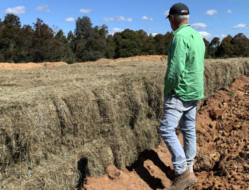 Make hay (……….and silage) while the sun shines